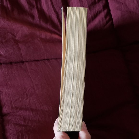 The Queen's Fool Philippa Gregory paperback Tudor Plantagenet - Picture 4 of 4